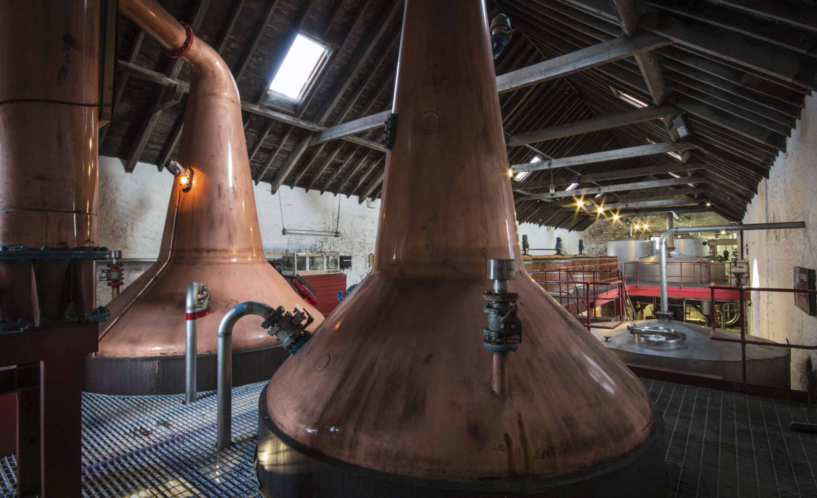 Entdecken Sie Springbank Local Barley: Authentischer Whisky aus regionaler Gerste, komplex im Geschmack und perfekt für Sammler echter Handwerkskunst.