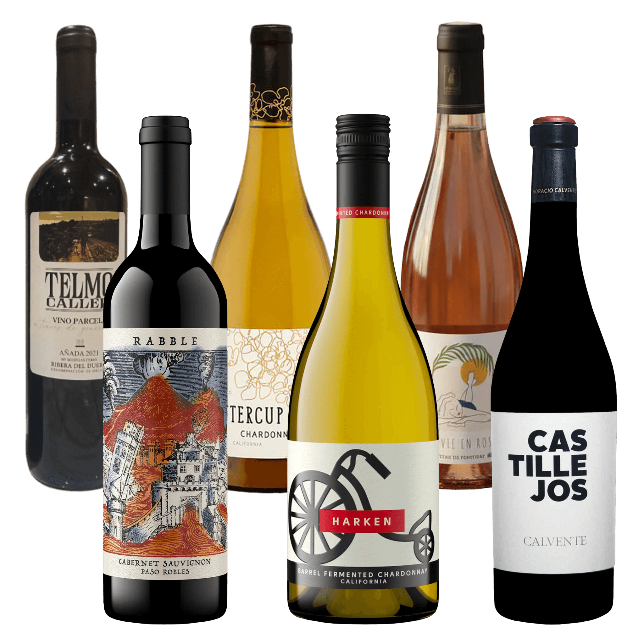 Genusspaket: 6 ausgewählte Weine in Top-Qualität