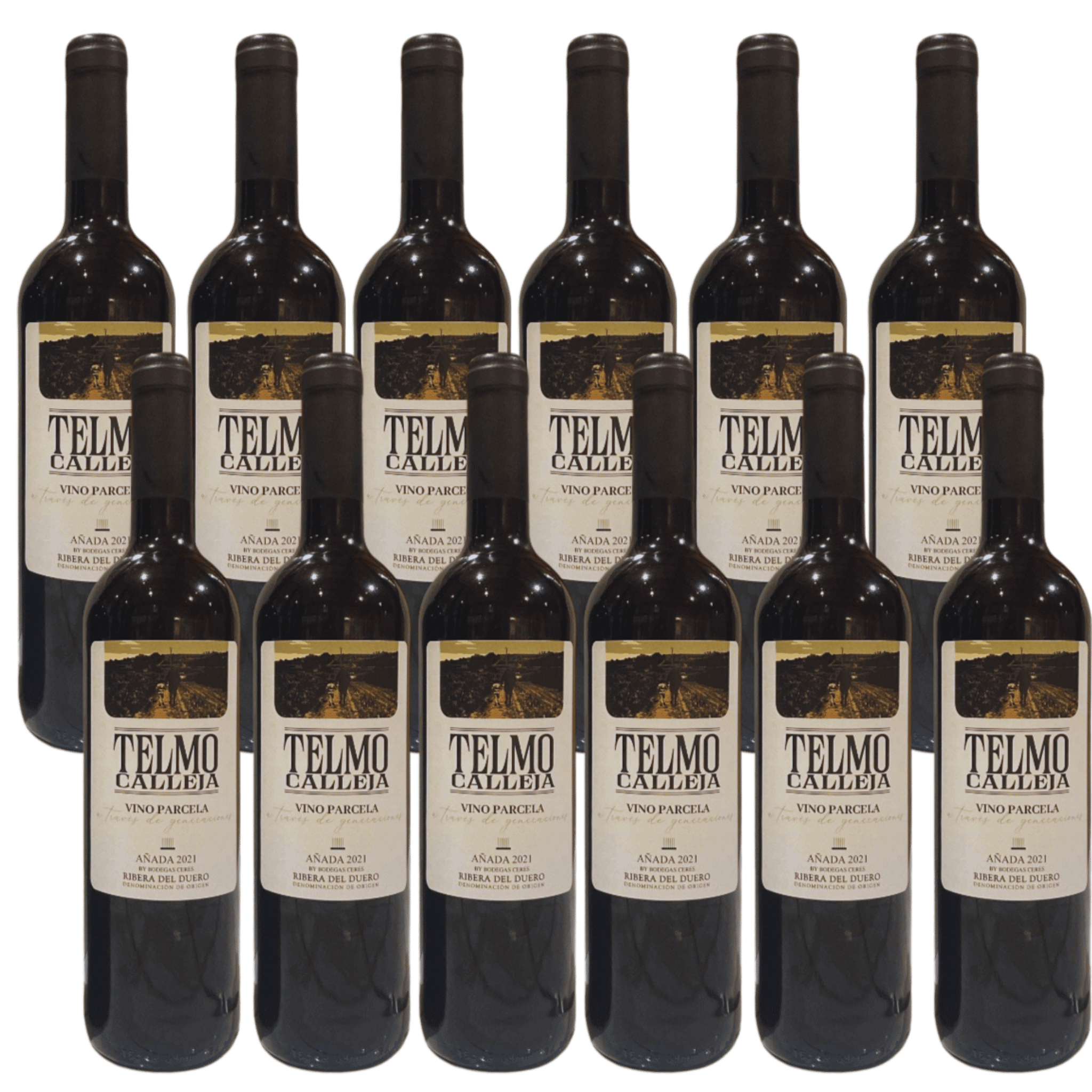 Telmo Calleja 2021 – Rotwein-Paket aus Ribera del Duero