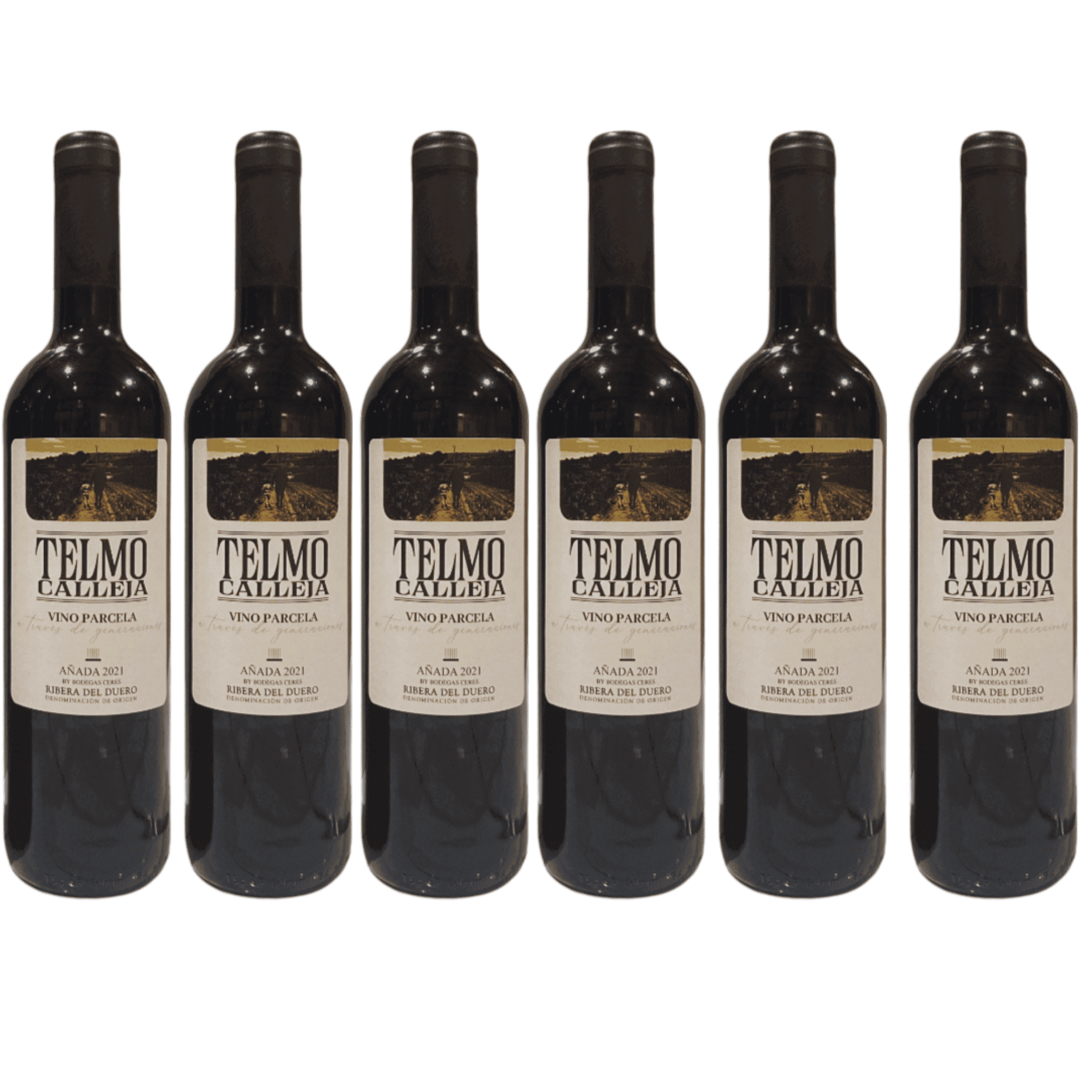 Telmo Calleja 2021 – 6er Rotwein-Set aus Ribera
