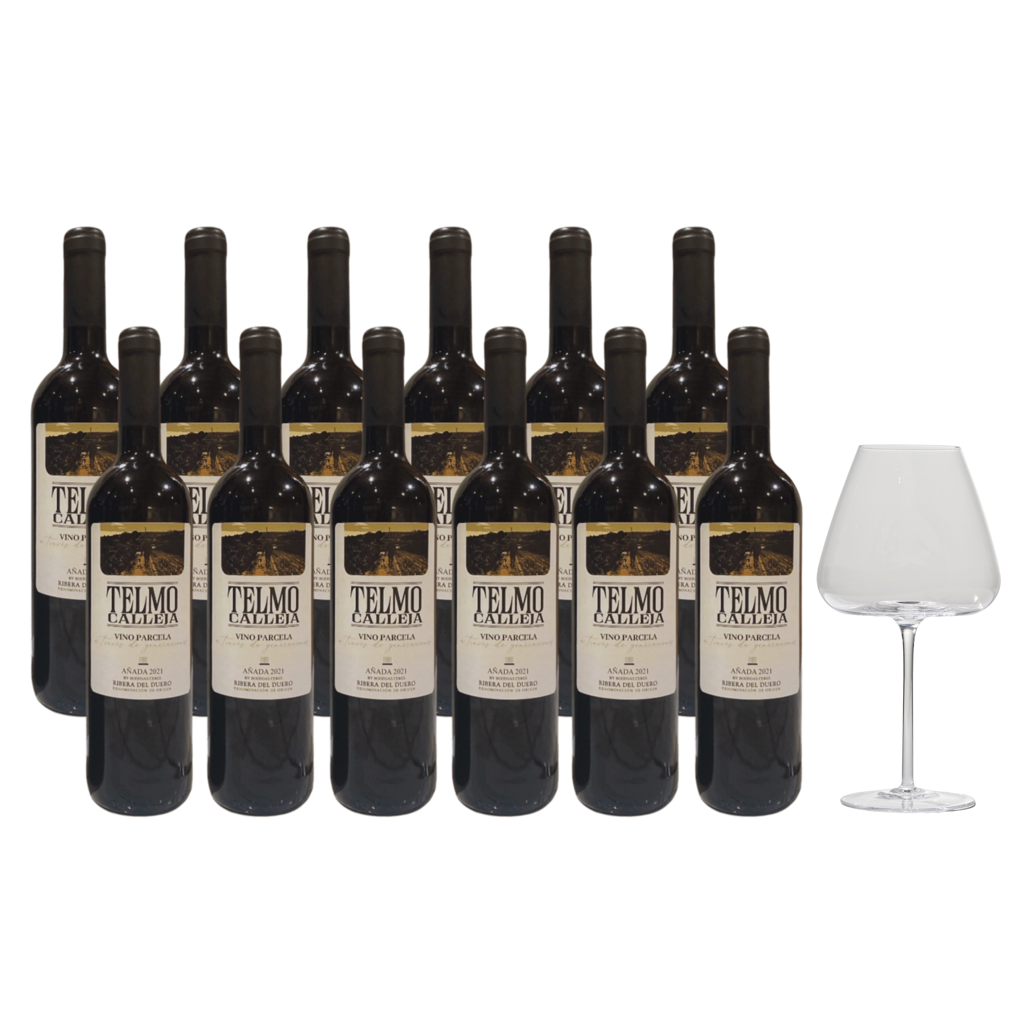 Telmo Calleja 2021 – Exklusiver Tempranillo aus Spanien