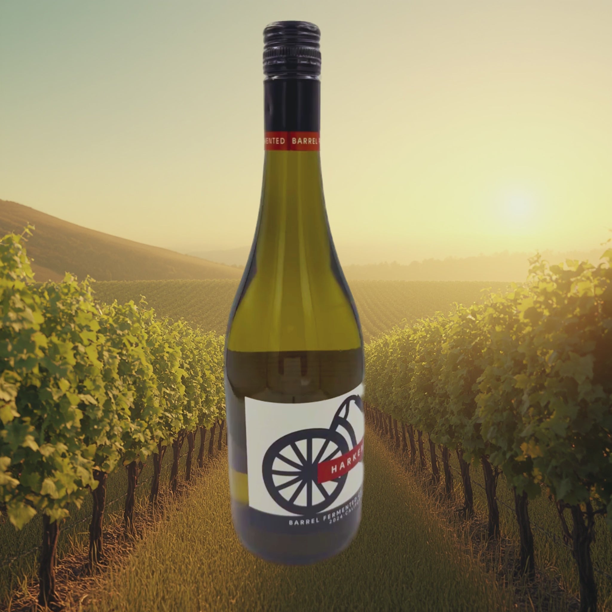 Harken 2024 Chardonnay